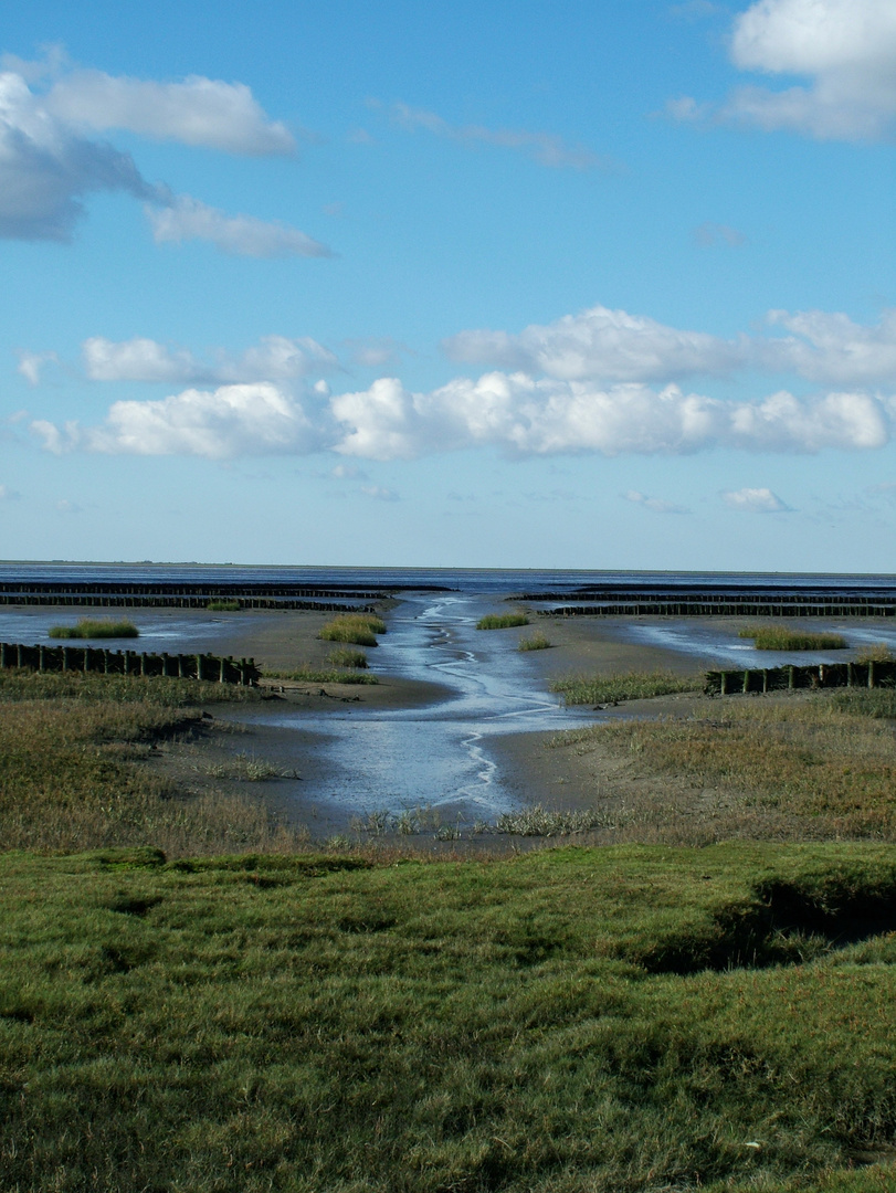 Watt am Dockkoog