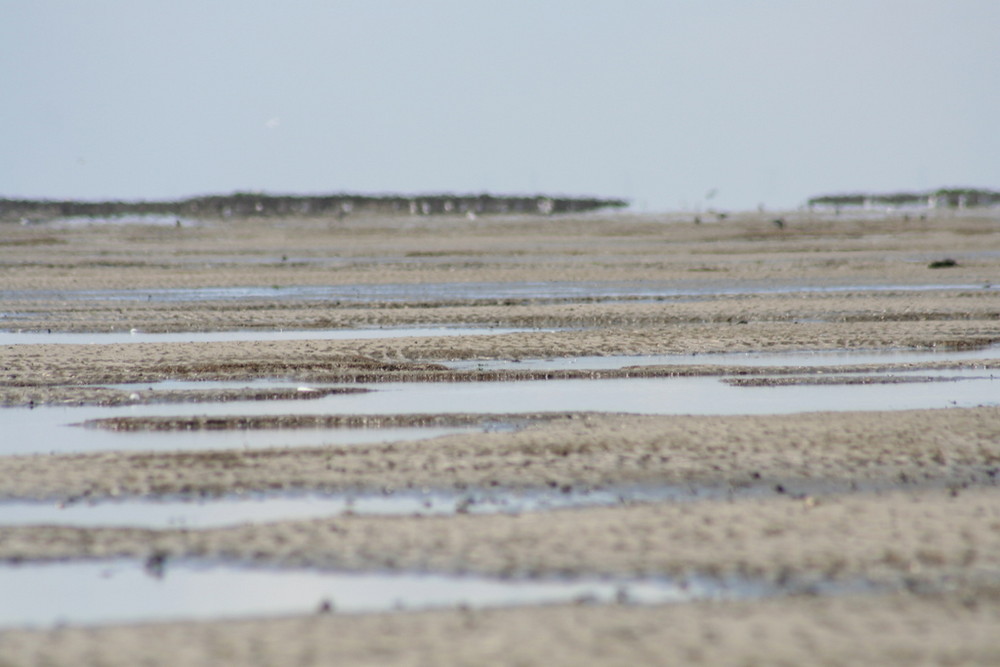 Watt am Nordsee