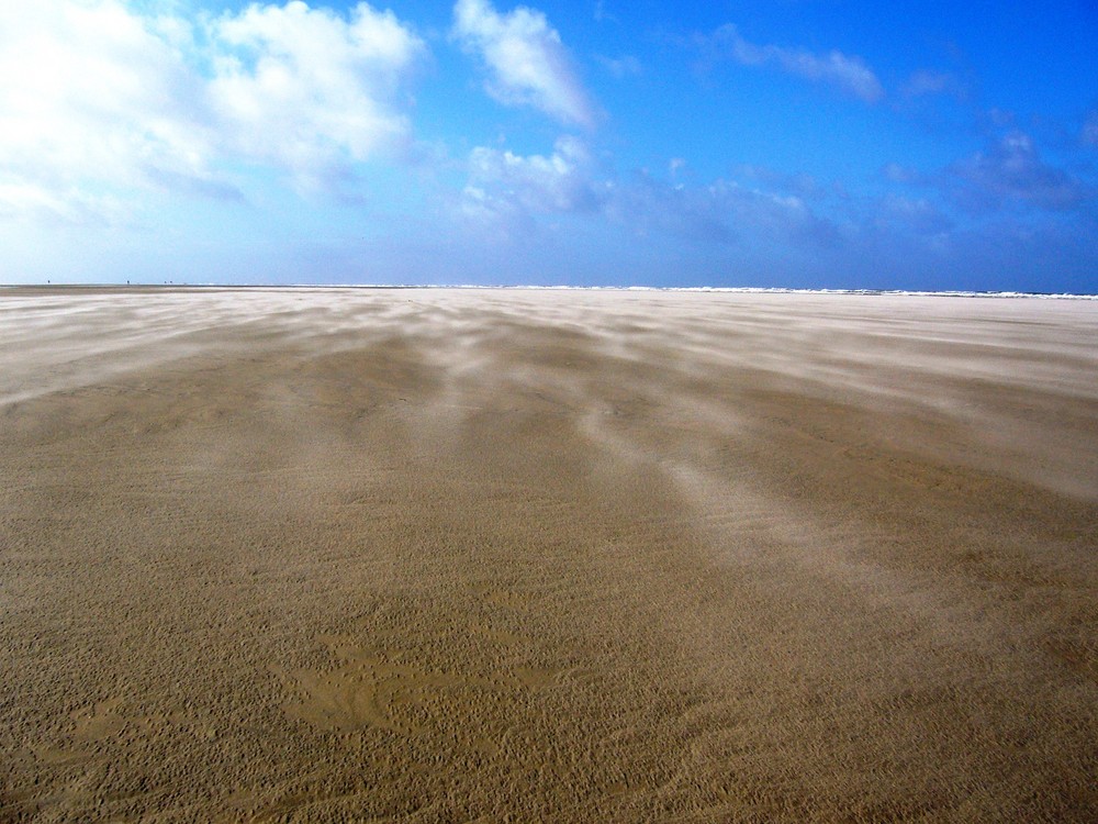 Watt auf Borkum