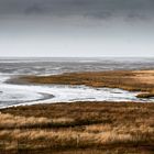 Watt bei Borkum im Winter