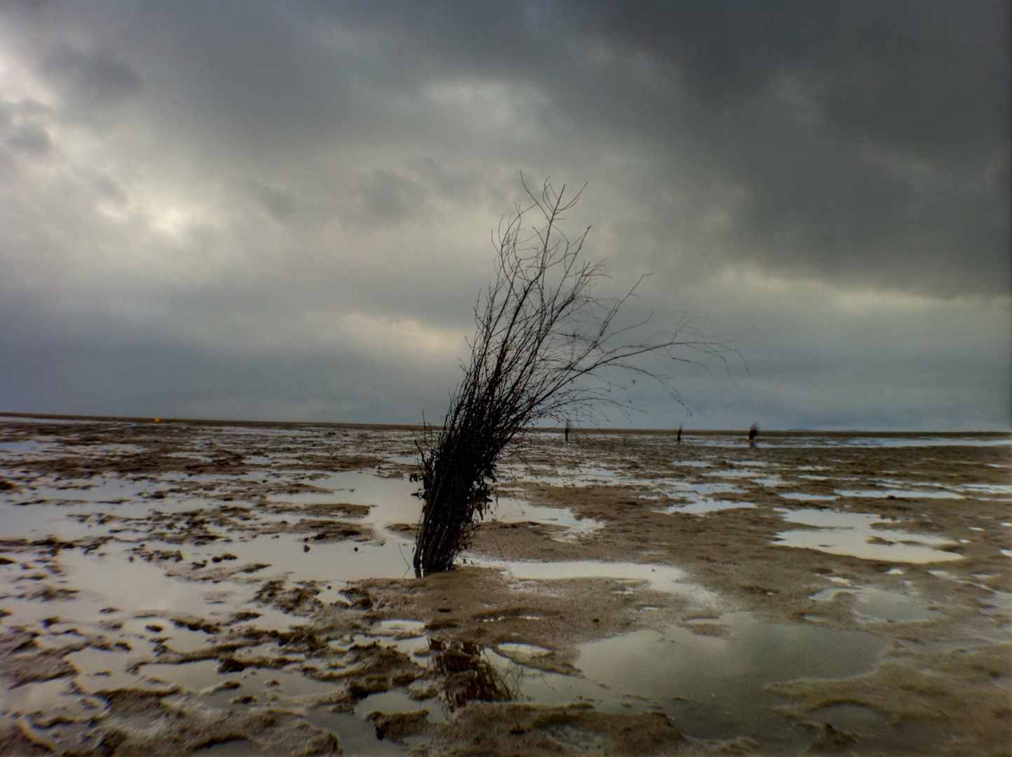 Watt bei Cuxhaven im Juni 2011