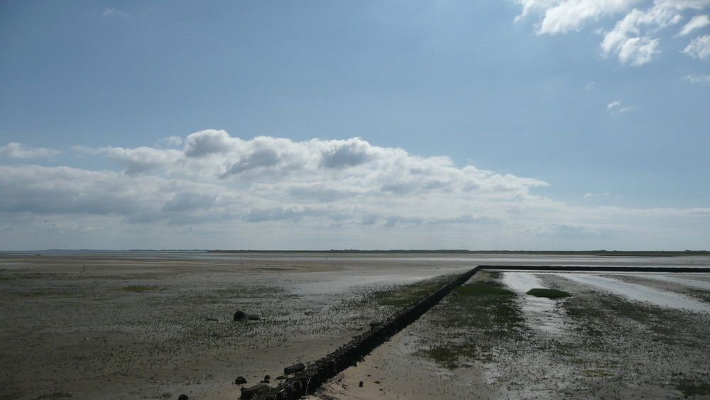 Watt en Watt - Weltnaturerbe Wattenmeer (2)