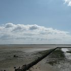 Watt en Watt - Weltnaturerbe Wattenmeer (2)