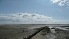 Watt en Watt - Weltnaturerbe Wattenmeer (2)