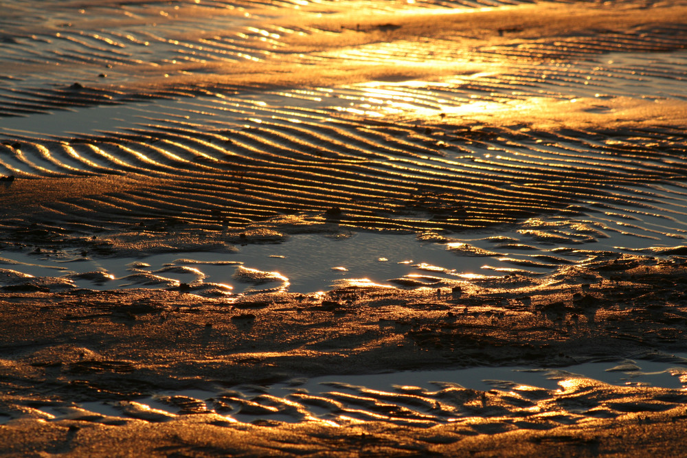 watt im sonnenuntergang