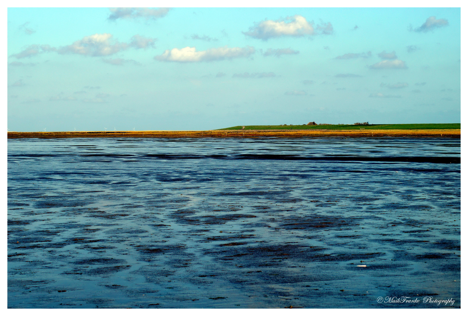 Watt in Westerhever