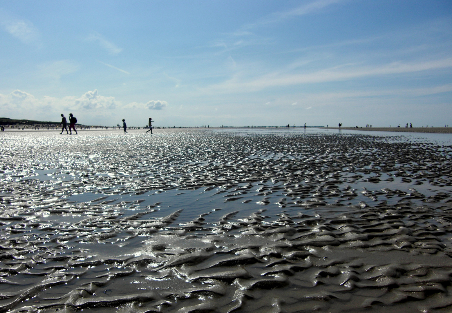 Watt - Langeoog