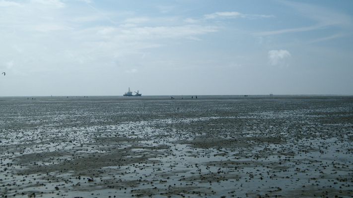 Watt und Meer