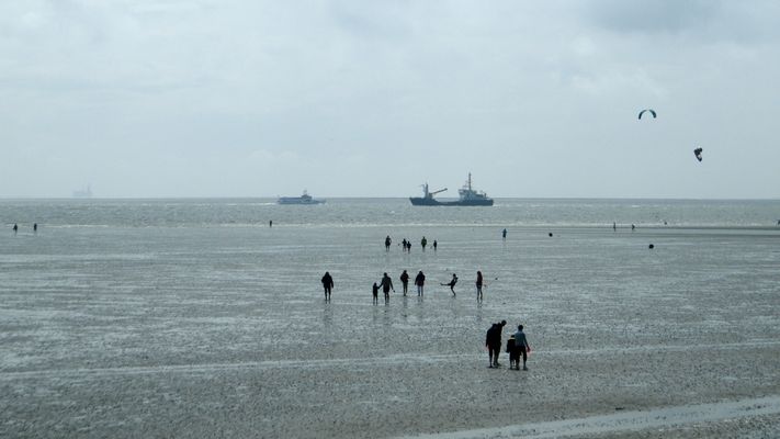Watt und Meer 1