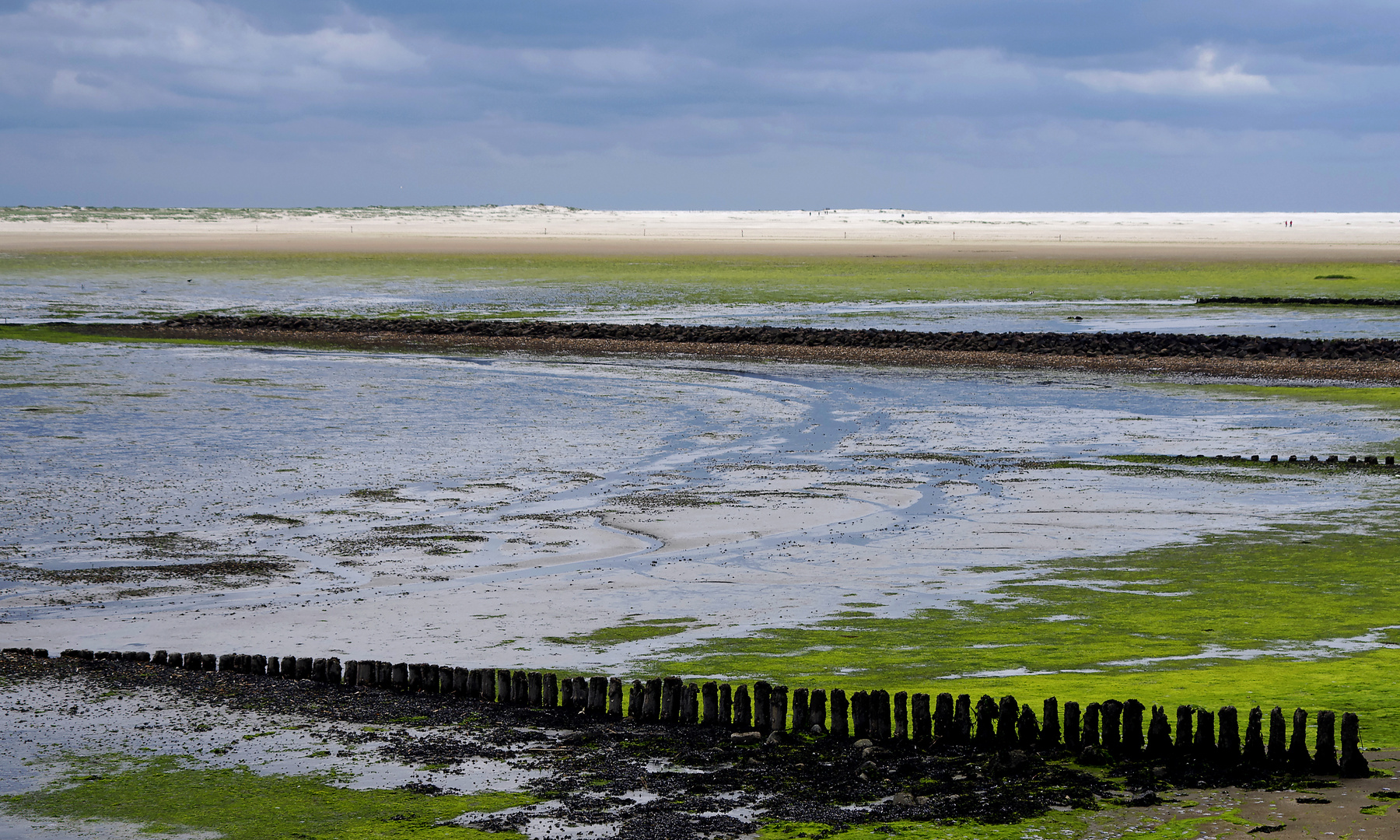 Watt und Sandstrand