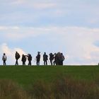 Watt Watchers auf Sylt