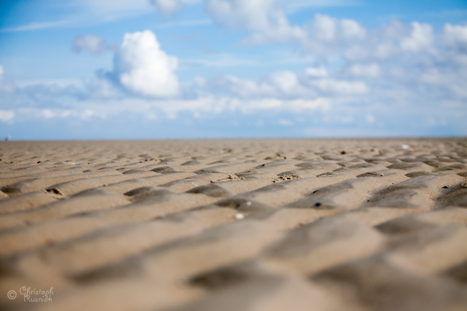 Wattdünen am spiekerooger Strand