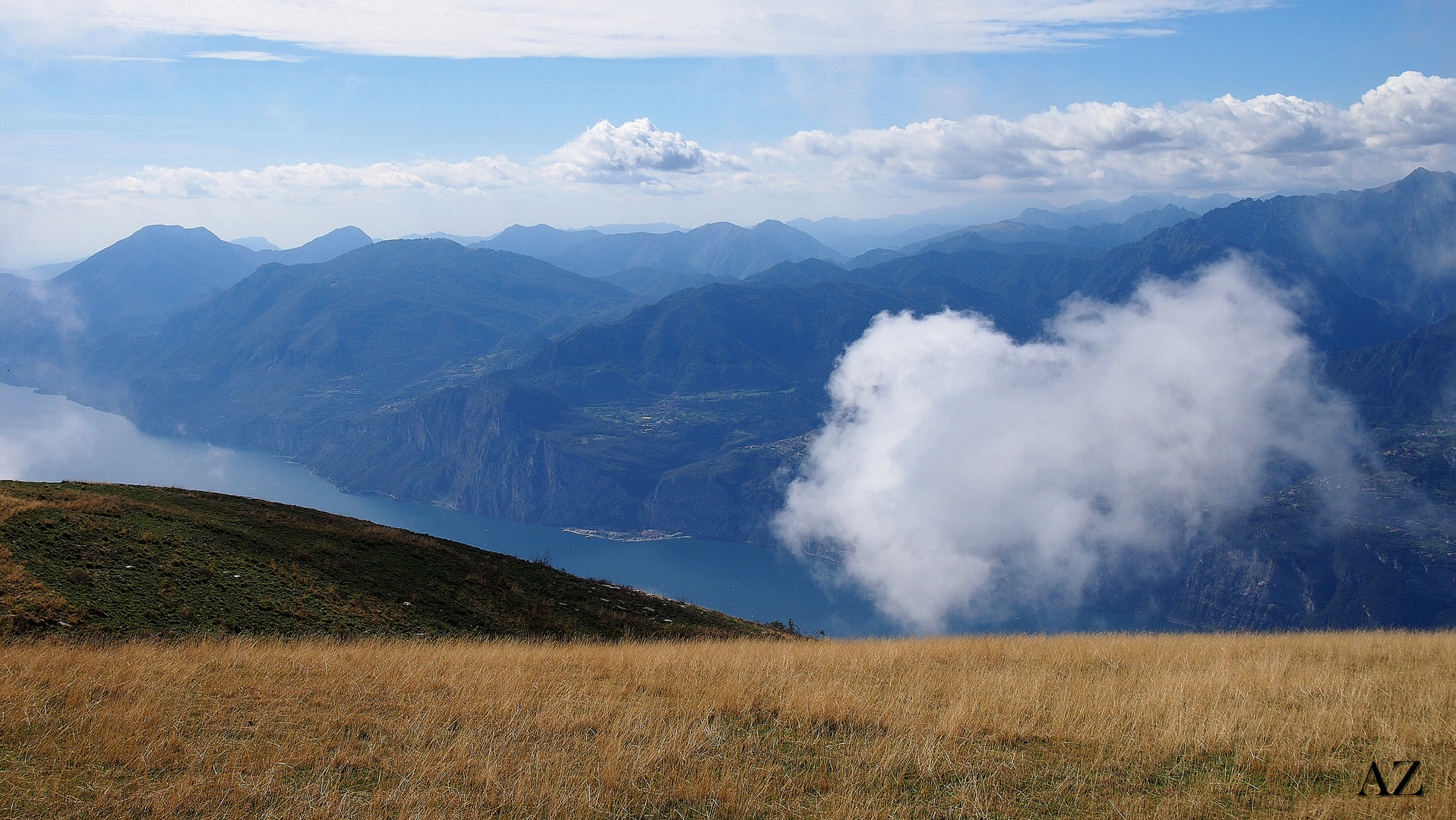 Wattebausch am Monte Baldo