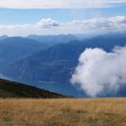 Wattebausch am Monte Baldo