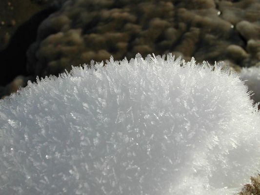 Wattebausch oder Eishäubchen?