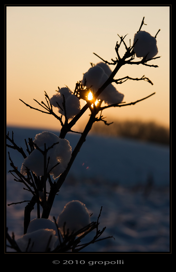 Wattebausch-Schnee