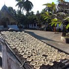 wat(tempel) in Luang Prabang