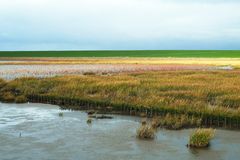 Wattenlandschaft - von wegen alles grau in Grau