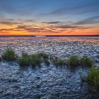 Wattenmeer