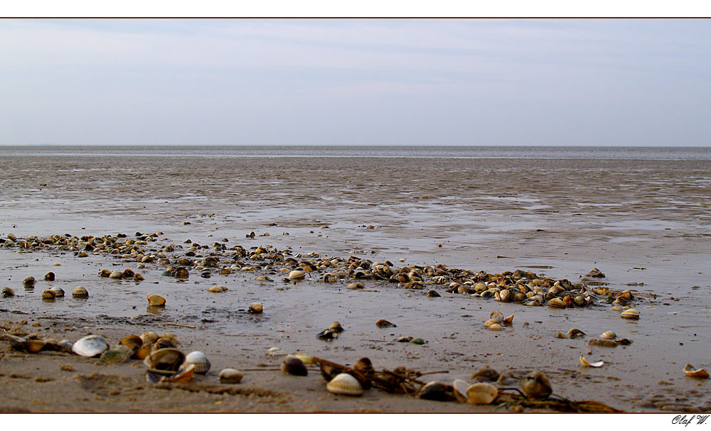 Wattenmeer