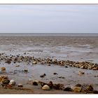 Wattenmeer