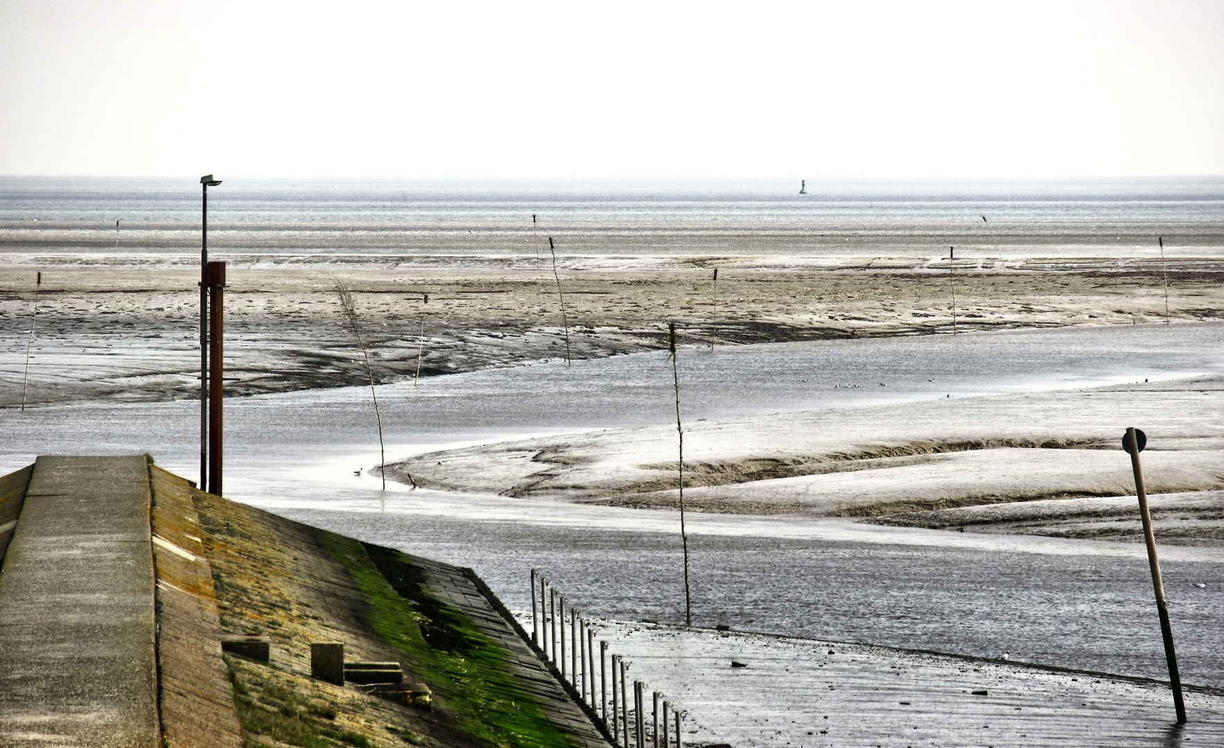 Wattenmeer