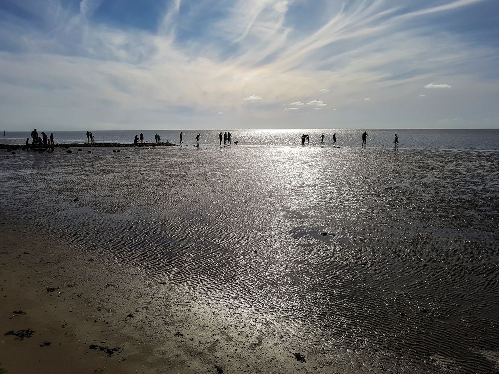 Wattenmeer