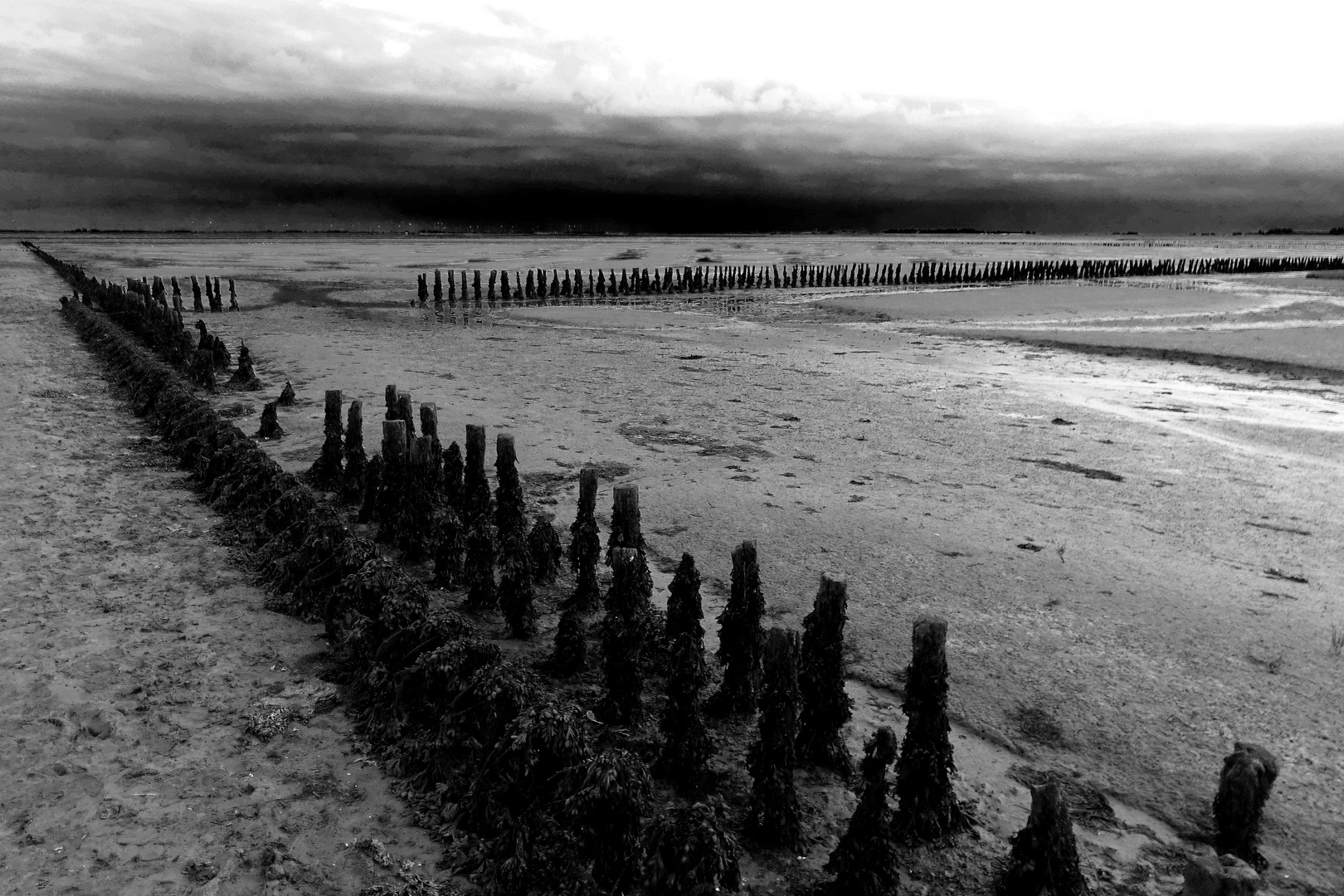 Wattenmeer #2