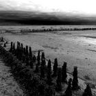 Wattenmeer #2