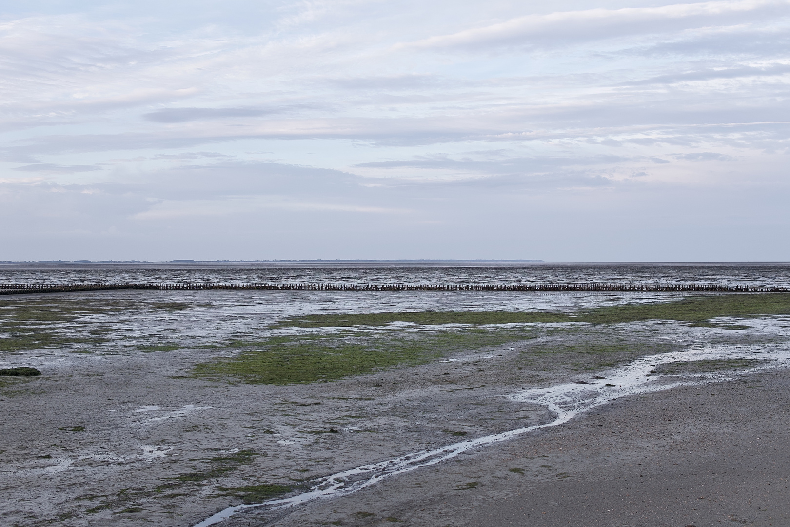 Wattenmeer