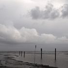 Wattenmeer