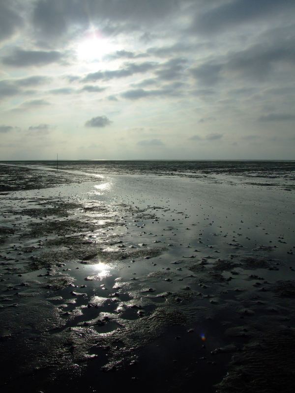 Wattenmeer