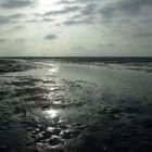 Wattenmeer