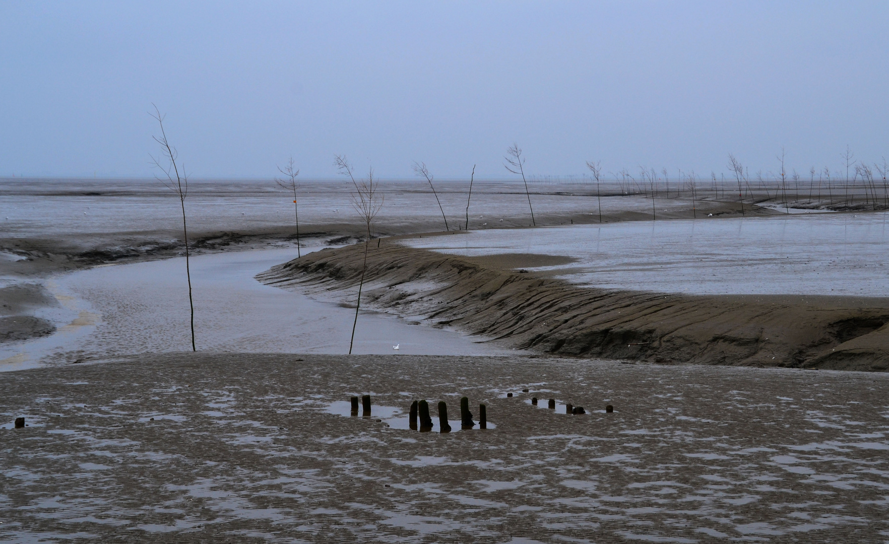 Wattenmeer - 3