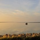 Wattenmeer