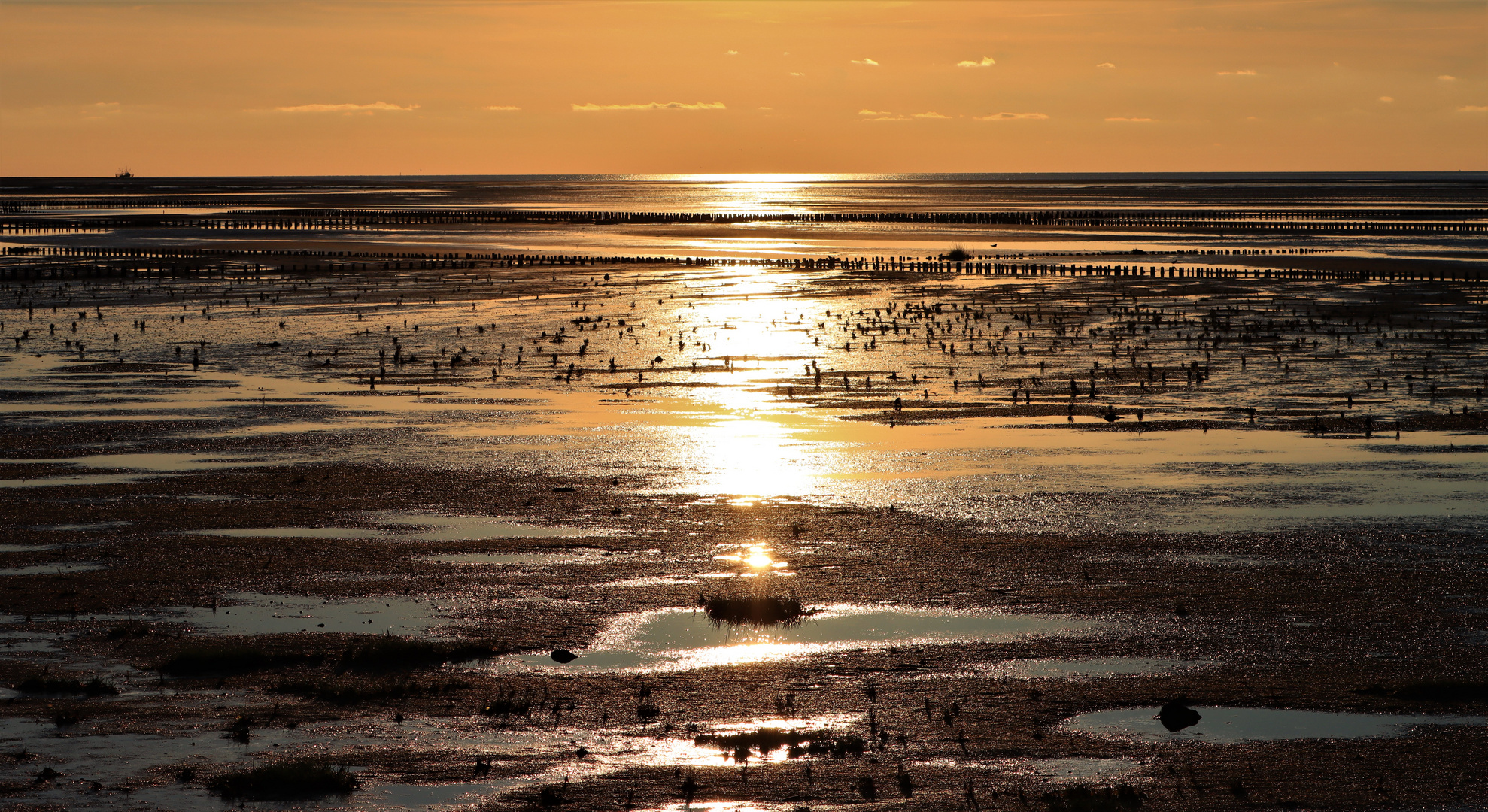 Wattenmeer