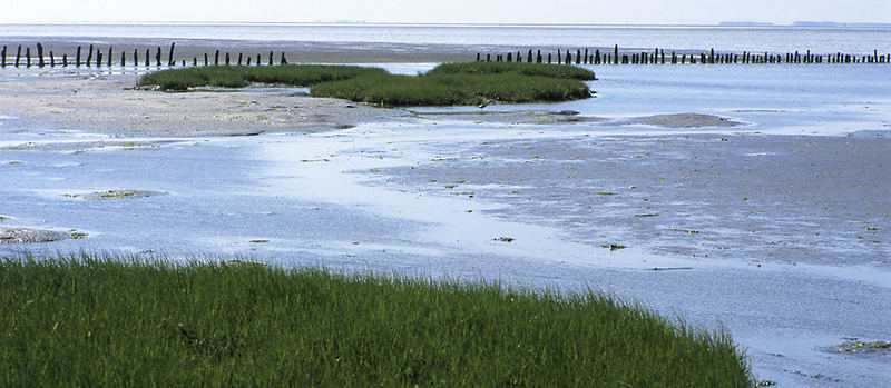 Wattenmeer