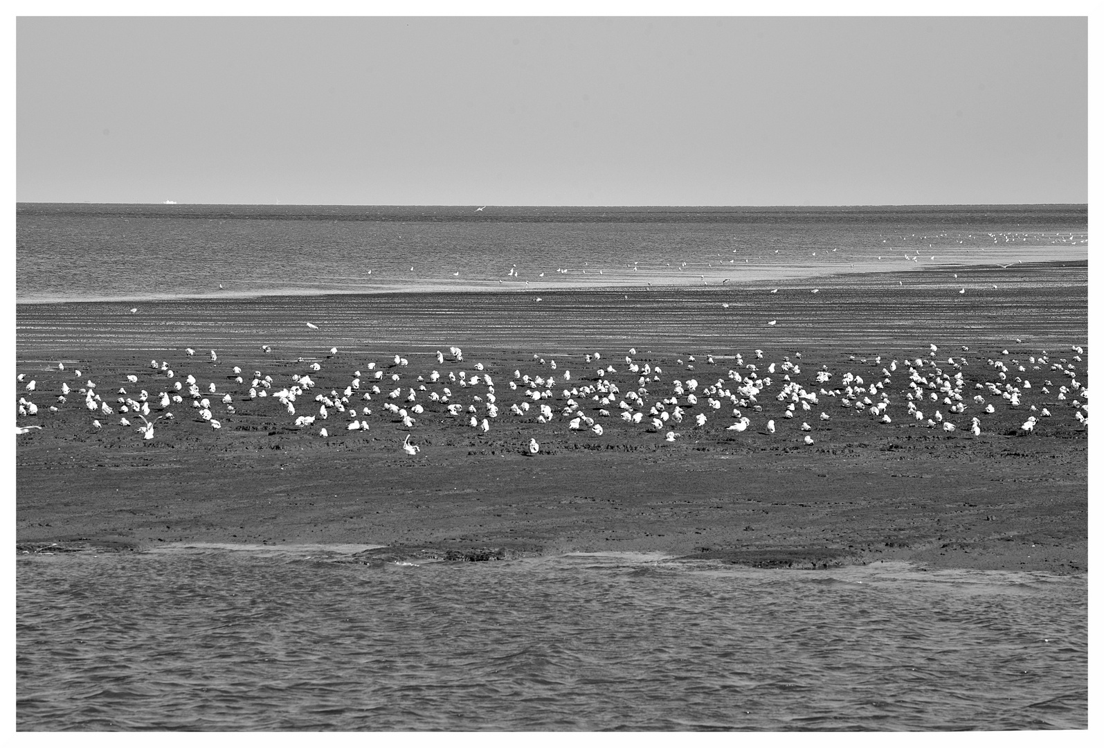 Wattenmeer