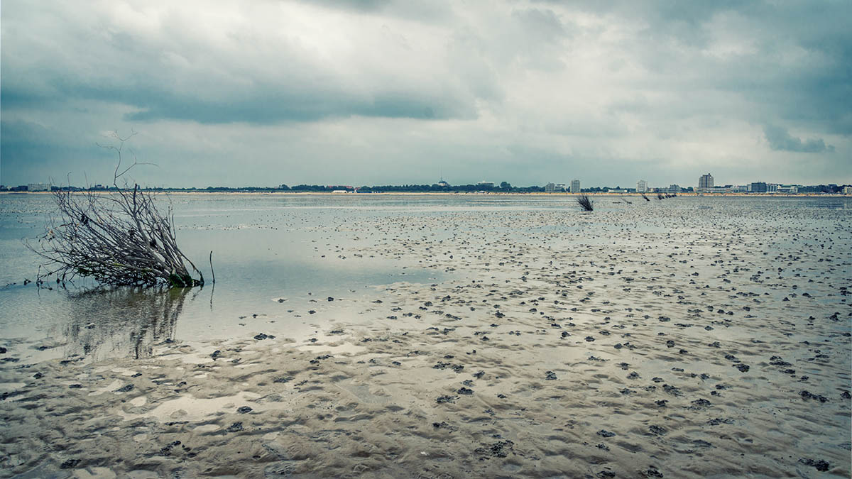 Wattenmeer