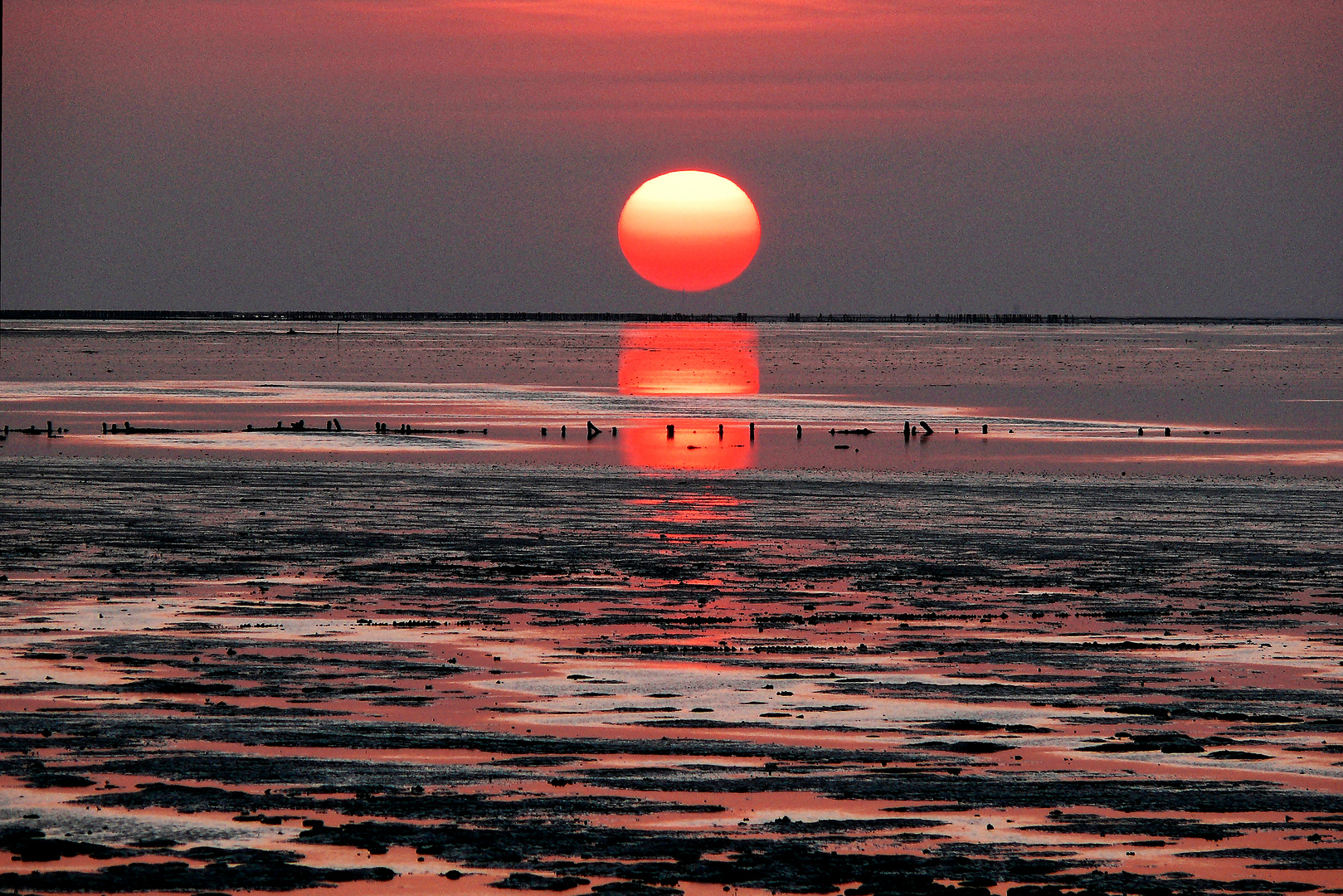 Wattenmeer