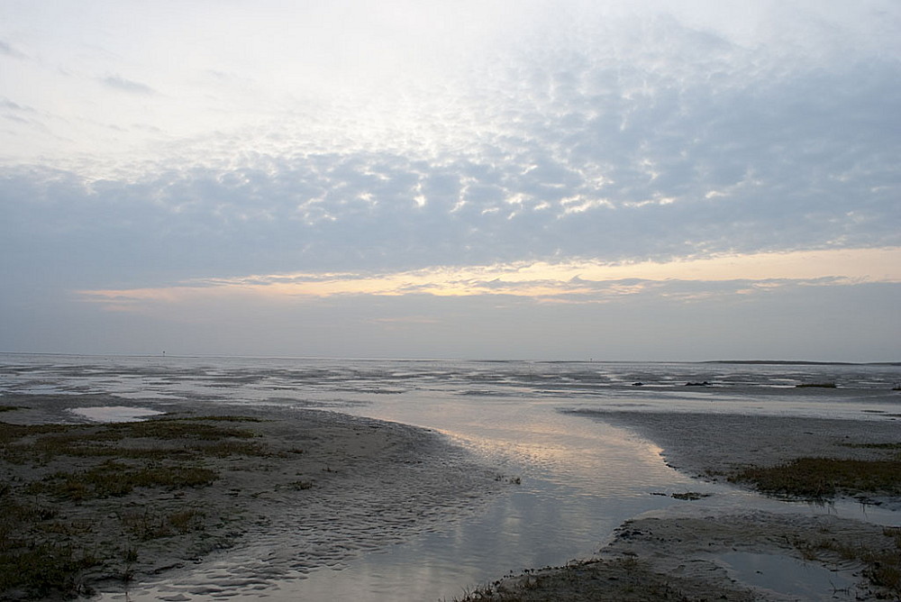 Wattenmeer