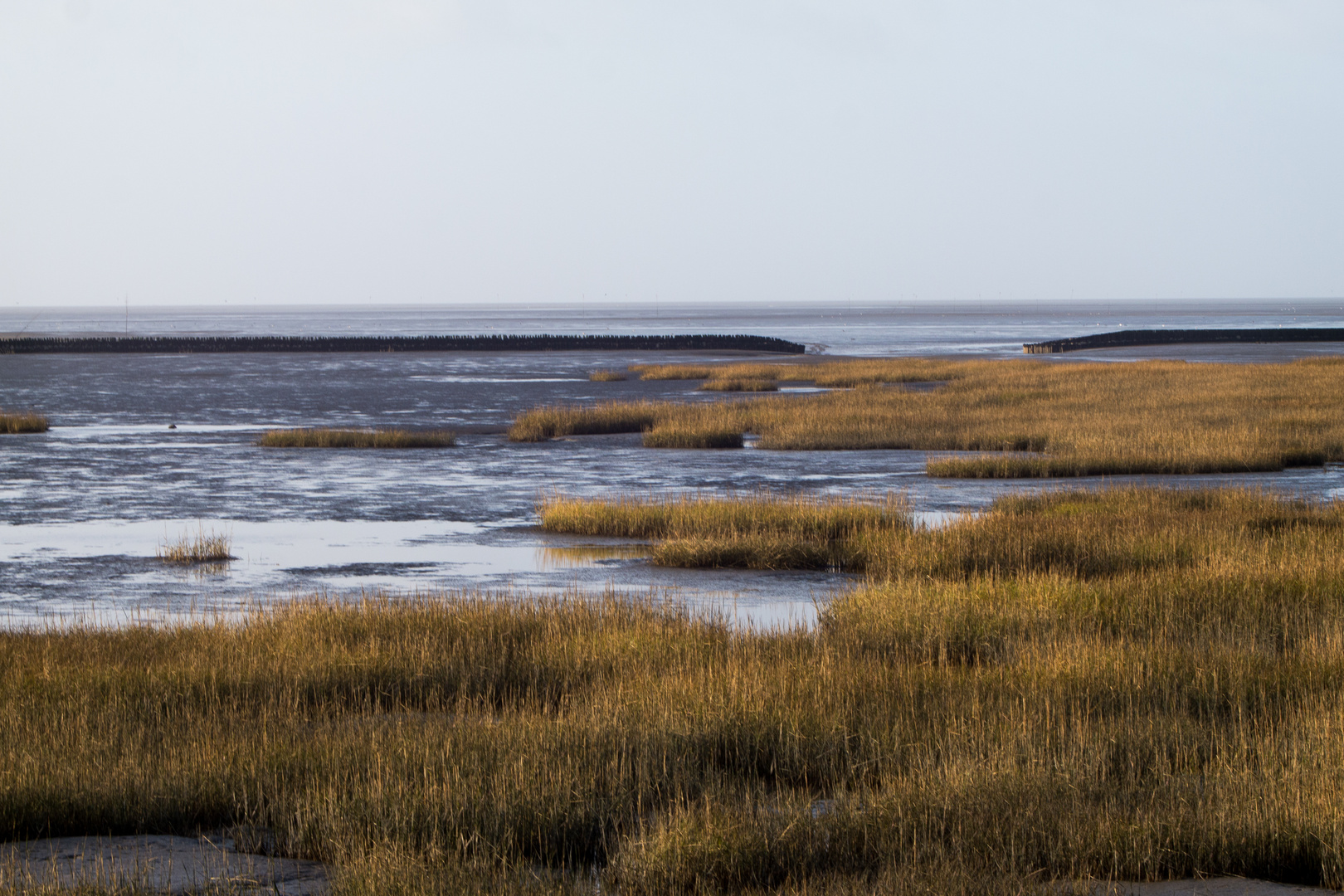 Wattenmeer Foto & Bild | landschaft, lebensräume, fotos Bilder auf ...