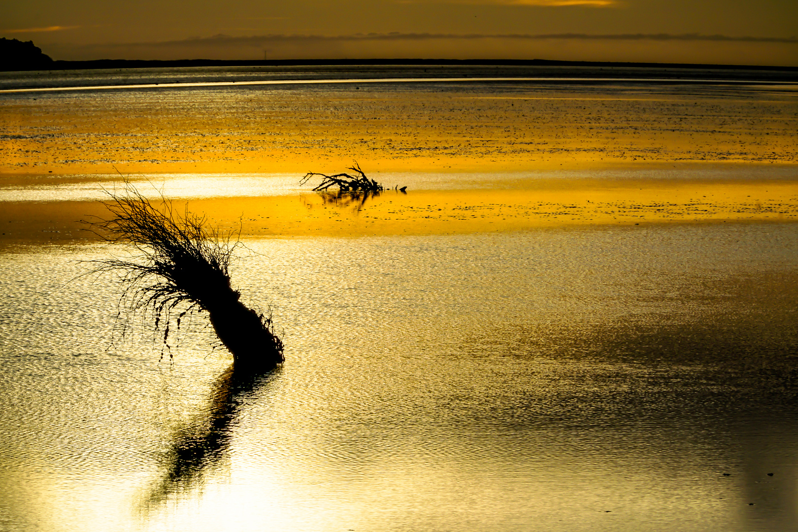 Wattenmeer