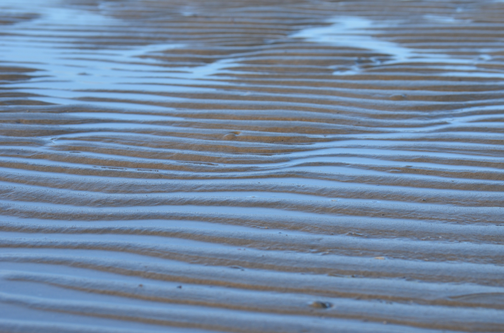 Wattenmeer