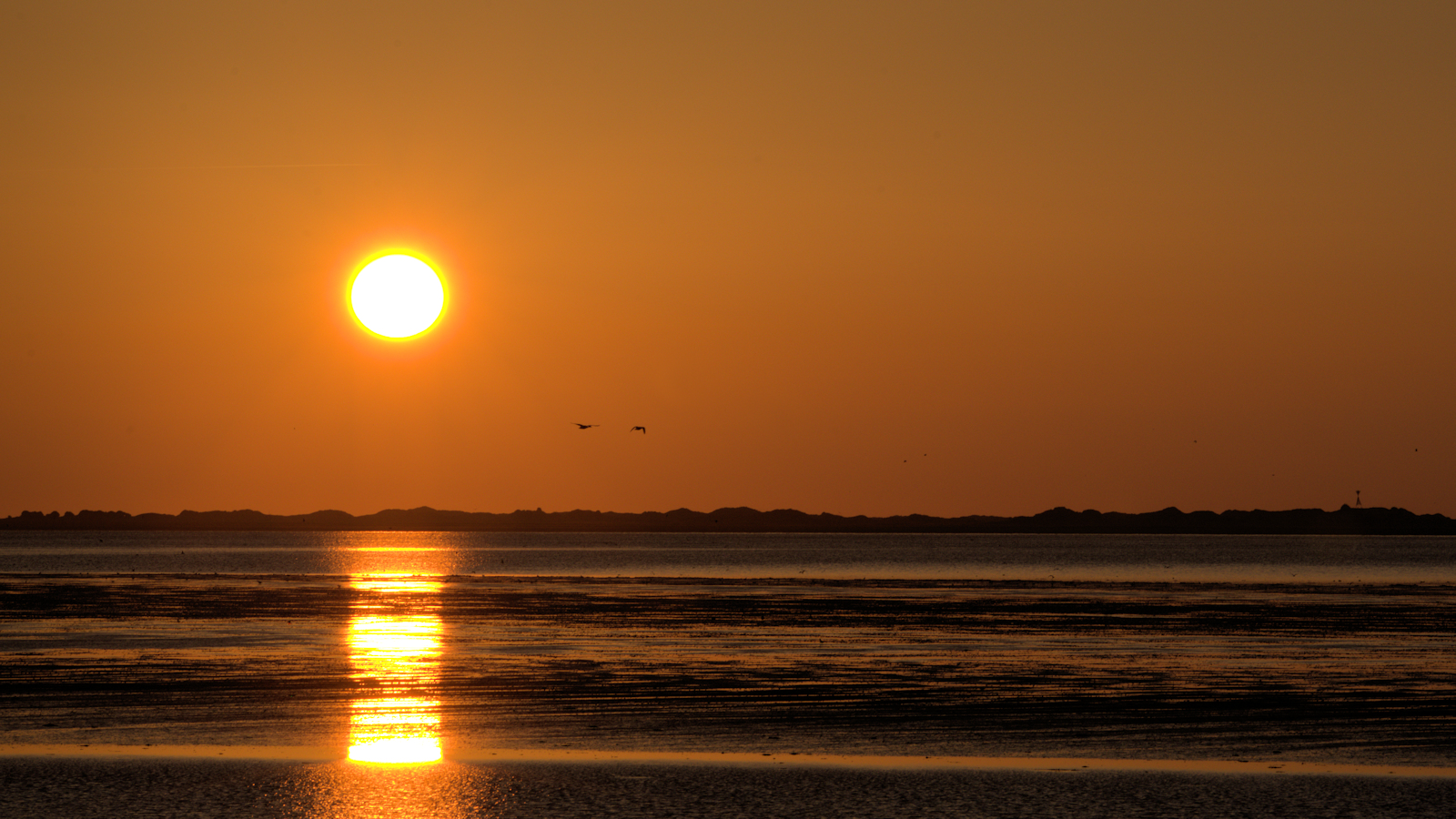 Wattenmeer 