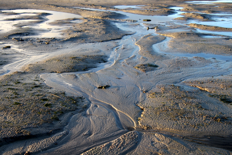 Wattenmeer