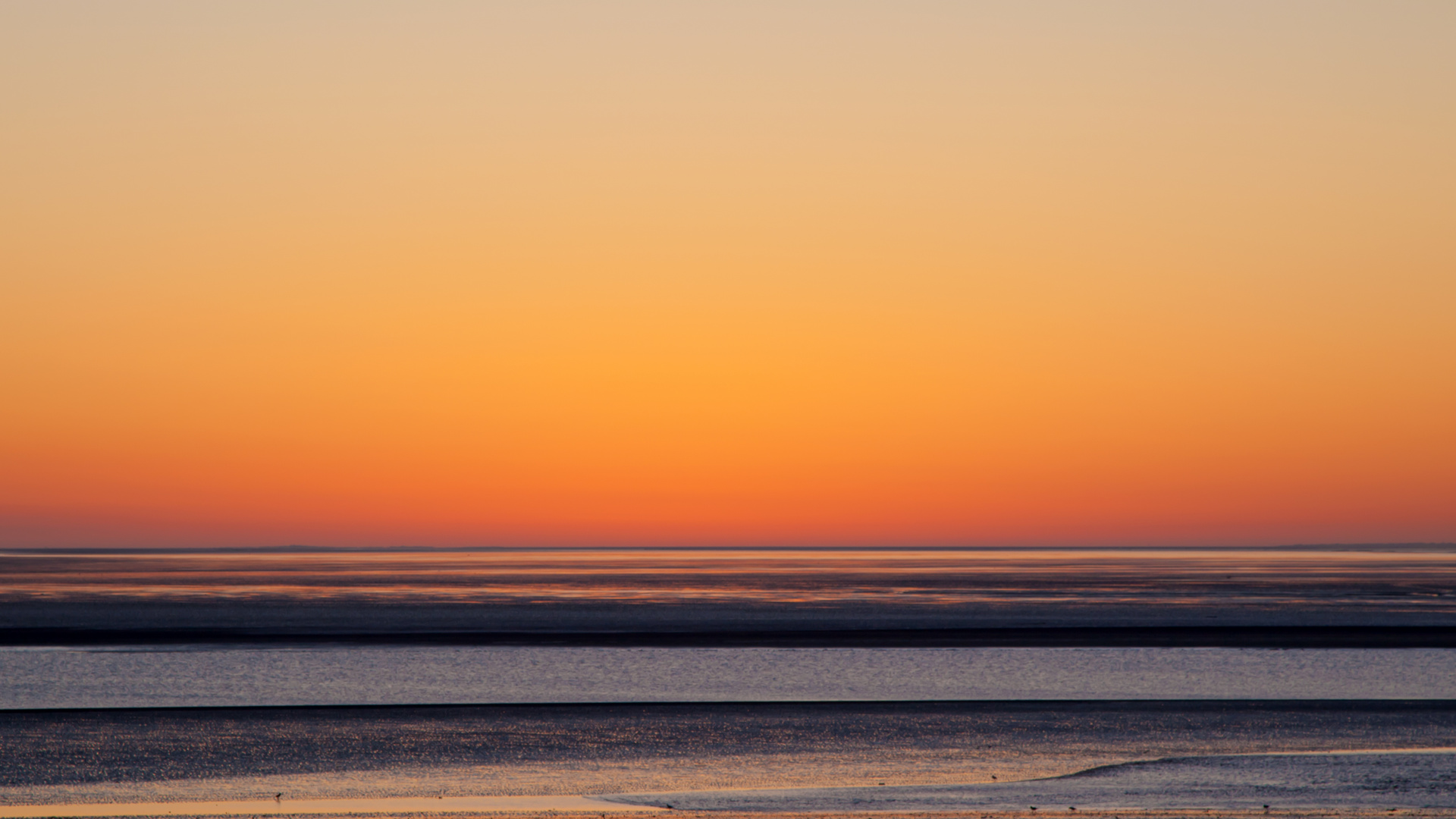 Wattenmeer