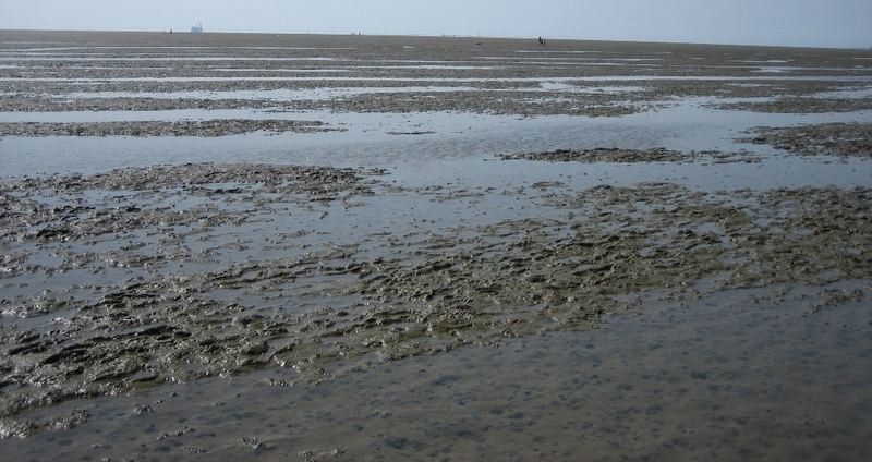 Wattenmeer