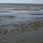 Wattenmeer