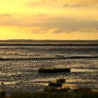 Wattenmeer